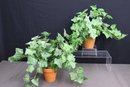 Group Lot Of Artificial Ivy In Pots And Ivy And Berries In Planter