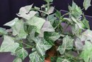 Group Lot Of Artificial Ivy In Pots And Ivy And Berries In Planter
