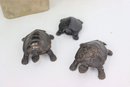 Trio Of  Cast Iron Turtle Figurines (mama, Papa, And Baby Turtle)