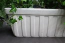 Artificial Pachysandra Ivy In White Planter