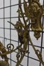 Pair Of Louis XV Style Brass And Crystal Three Arm Candelabra Sconces