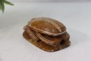Carved Egyptian Red Stone Scarab Beetle With Glyphs On Bottom