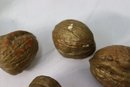 Group Of Decorative Wooden English Walnuts