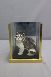 Fuzzy Cat In A Case