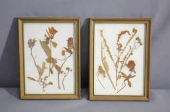 Set Of Two Framed Pressed Flower Arrangements  Vintage Botanical Handwork Art