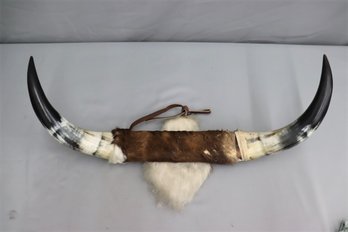 27' Mounted Bulls Horns With Pelts