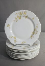 Nine Vintage Floral Porcelain Plates 8.5'