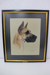 Forever Amber - Framed Original Bob Hickey Colored Pencil Sketch Of Great Dane CH. Forever Amber July 30, 1959