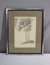 Vintage Charcoal & Pencil Sketch Of Stand Of Birch Trees, Signed C. Hawes '28