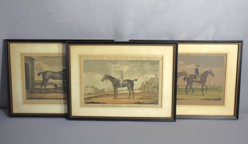 Classic Equestrian: Set Of Three Framed Horse Engravings