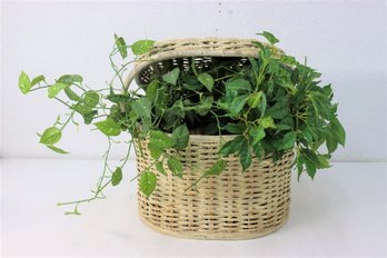 Arrangement Of Two Artificial Ivy Plants In Two Pots Inside A Lidded Wicker Basket