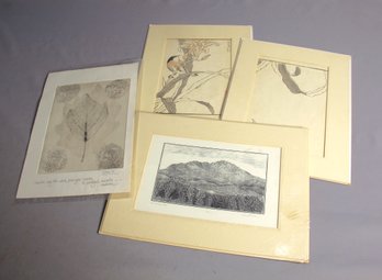 Collection Of Vintage Nature-Themed Art Prints