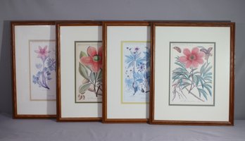 Group Lot Of 4 Vintage Botanical Floral Reproduction Prints