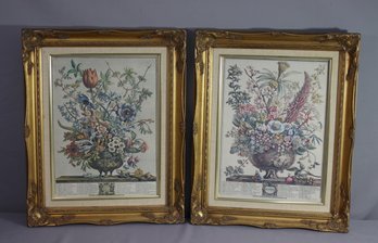 Two Months Of Fletcher/Furber/Casteels Colored Botanical Engraving Reproduction Prints