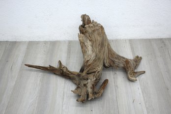 Large Driftwood Log