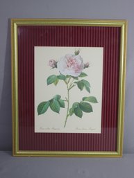 Vintage Royal White Rose Reproduction Print - Hart Lake Pret A Accocher