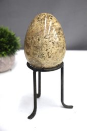 Polished Fossil Stone Egg-stand Not Included