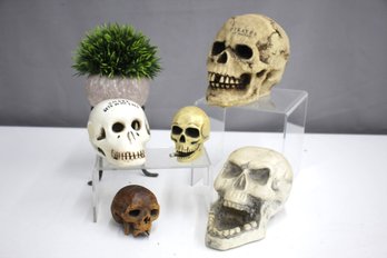 Group Lot Of Skulls