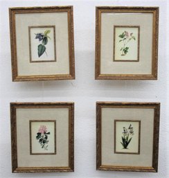 Group Of Four Elegantly Framed Botanical Prints