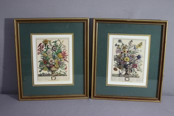 Two Seasons - Autumn & Winter - Of Fletcher/Furber/Casteels Colored Botanical Engraving Reproduction Prints