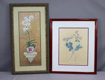 2 Framed Asian Prints