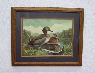 Framed And Signed Duck Print