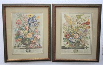 June And August - Pair Of Color Repro Engravings Of Monthly Flower Blossom Pictorials, R. Gardiner Collection