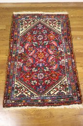 Persian Viss 44' X 28' Rug