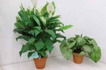 Two Potted Artificial Plants - Bi-Color Caladium And Spathiphyllum - Peace Lily