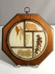 Acrylic Lucite Dried Grains / Flowers Wall Hanging