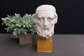 Cast Plaster Bust Of Bearded Elder On Maple Veneer Block