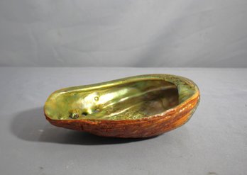 Natural Red Abalone Shell Decorative Dish, 6' X 8'