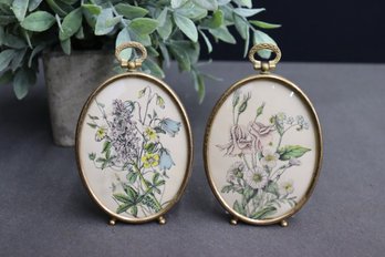 Two Vintage Botanic Ovals In Footed Brass Finish Frames