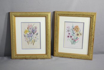 Pair Of Day And Haghe Lithographers To The Queen Framed Botanical Prints