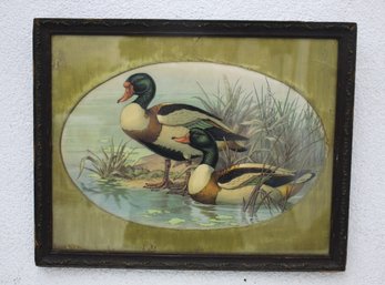 Framed Mallard Duck On A Reverse Glass Matted