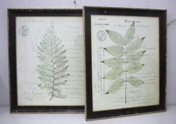 Pair Of Leaf Print - Artistic Notes Background