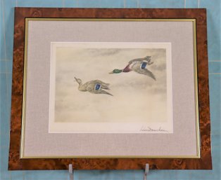 Vintage Color Etching, Flying Pair Of Wild Ducks, Lon Danchin, Pencil-Signed In Margin