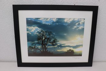 Framed Artist Signed Stunning Tree And Skyscape Photograph, Pencil Signed Sandy Jo Hyman