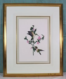 Limited Edition Lithograph Ruby-throated Humming Birds Artist Proof #5/10, Signed And Titled By Artist