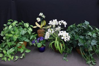 Group Lot Of Artificial Flowers And Leafy Plants In Baskets And Pots