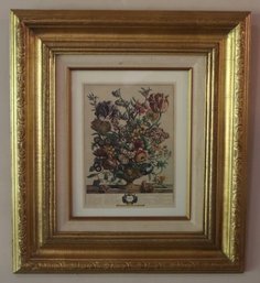 Pair Of Gold Tone Frame With Botanical Prints