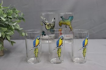 Group Lot Of 5 Bird Theme Glasses - 3 Busch Gardens Tampa Parrots AND A Quail & A Pheasant