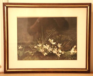 Framed Floral Art Print