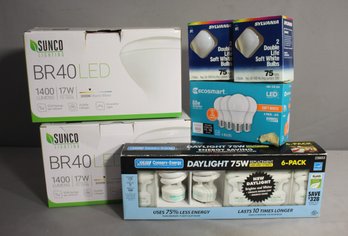 Group Lot Of Light Bulbs