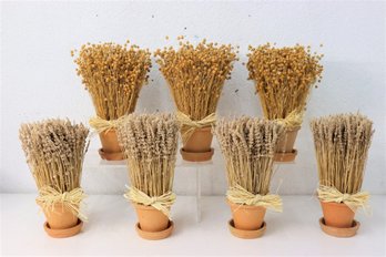 Group Lot Of Dried Wheat And Flax Sheaves  In Terra Cotta Pots With Grass Wrap
