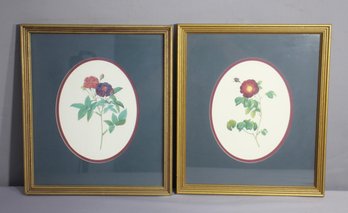 Pair Of Framed Botanical Prints - Floral Art Decor