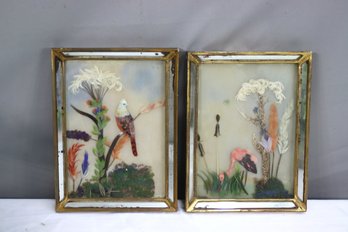 Two Framed Vintage Exotic Bird And Flower Featherworks