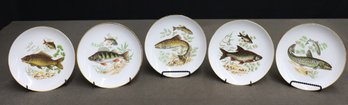 Set Of 5 Vintage Naaman Round Porcelain Fish Plates, Isreal