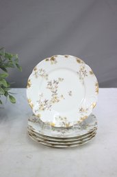 Group Lot Of 5 Vintage Flowers & Gold Daubs Haviland & Co Limoges Plates