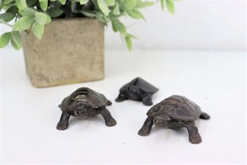 Trio Of  Cast Iron Turtle Figurines (mama, Papa, And Baby Turtle)